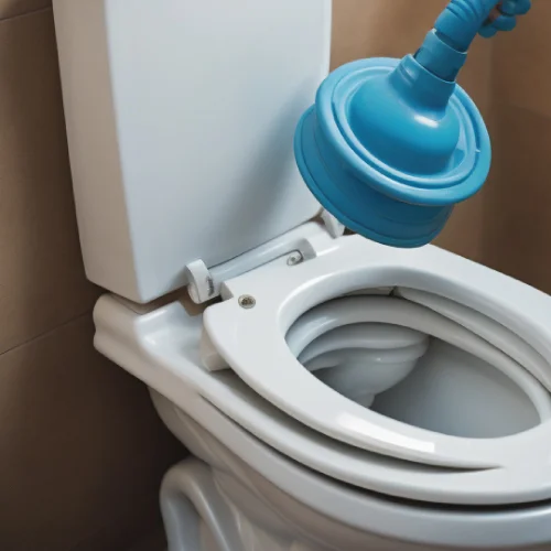 ¿Cómo destapar un baño urgente?